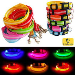 Dog LED Pet Safety Collar