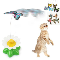 Cute Electric Butterfly/Bird Cat Teaser Toy
